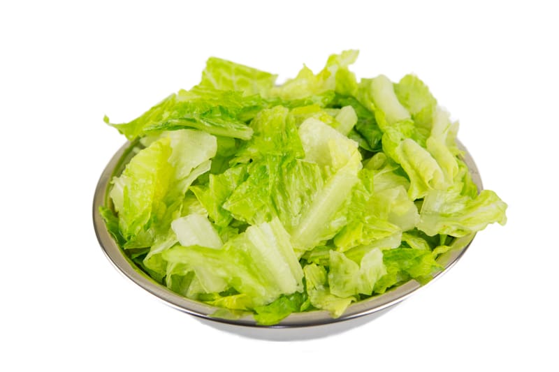 Romaine Lettuce Romaine Lettuce
